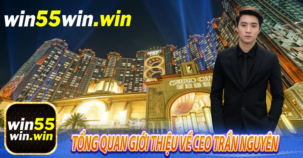 Tổng quan giới thiệu về CEO Trần Nguyên