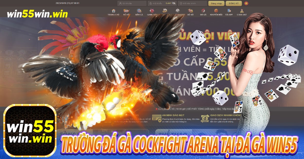 Trường đá gà Cockfight Arena tại Đá gà Win55 